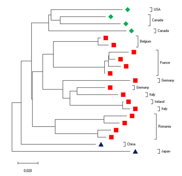 Equine infectious anaemia