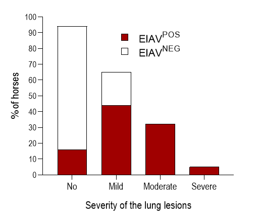 Equine infectious anaemia