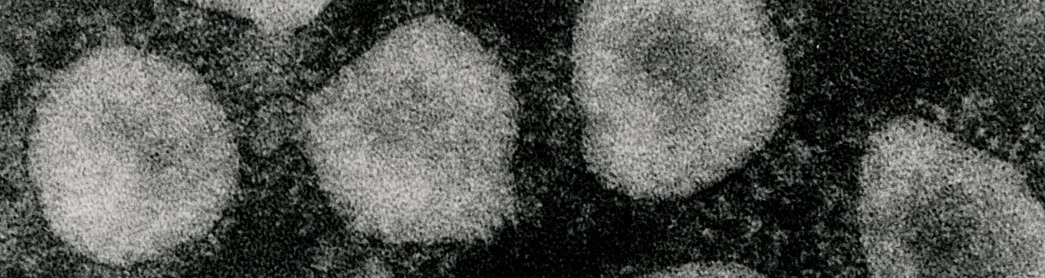 Bovine coronavirus infection
