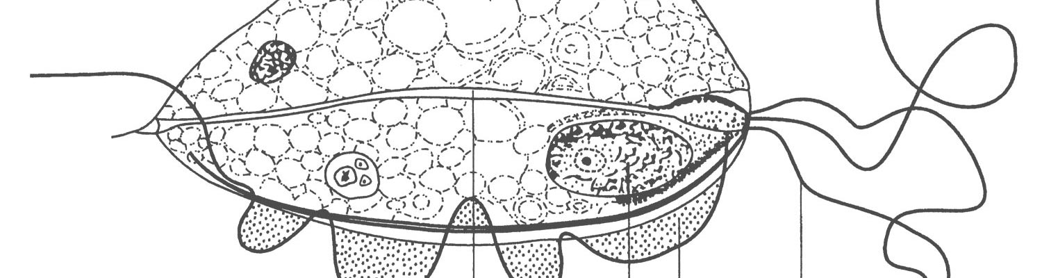Trichomonosis