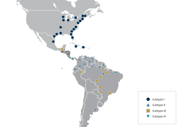 Equine encephalitides caused by alphaviruses in the Western Hemisphere