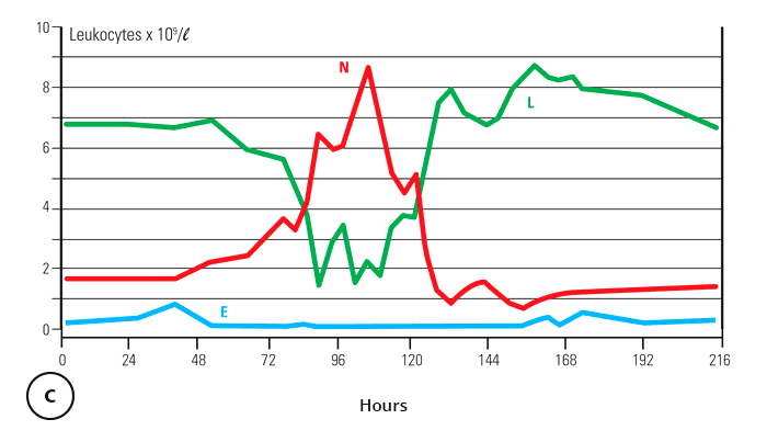 Bovine ephemeral fever