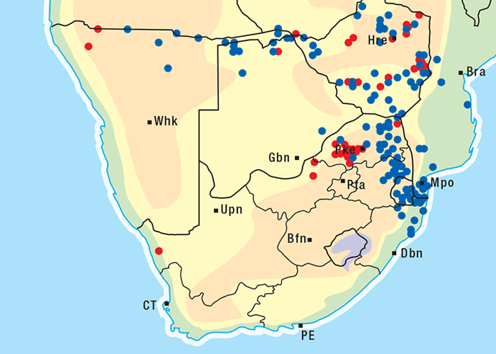 Central Nervous System