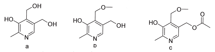 Central Nervous System
