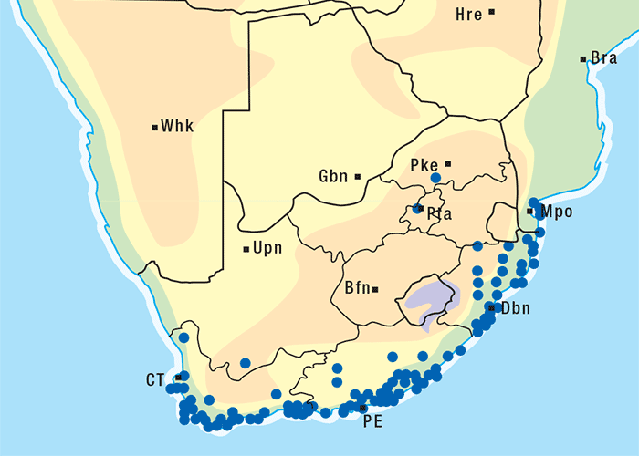Central Nervous System