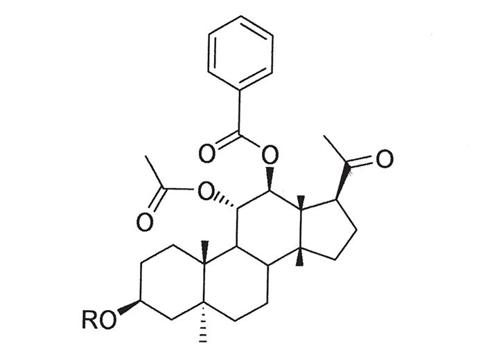 Central Nervous System