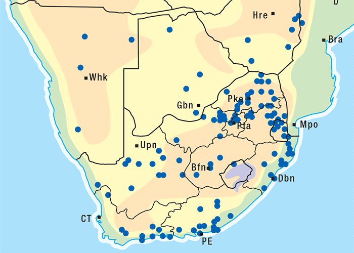 Central Nervous System