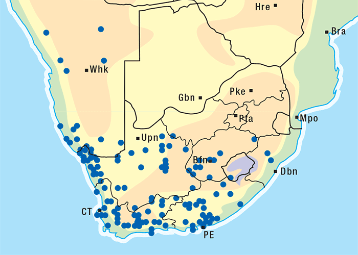 Central Nervous System