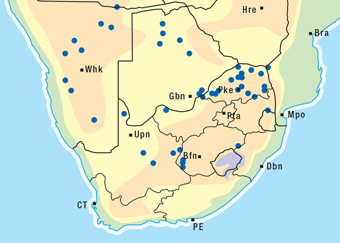 Central Nervous System