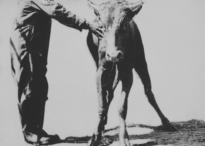 Central Nervous System