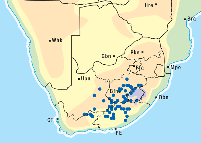 Central Nervous System