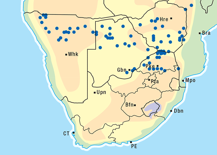 Central Nervous System