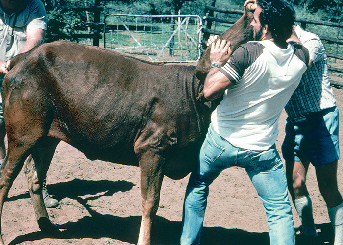 Central Nervous System