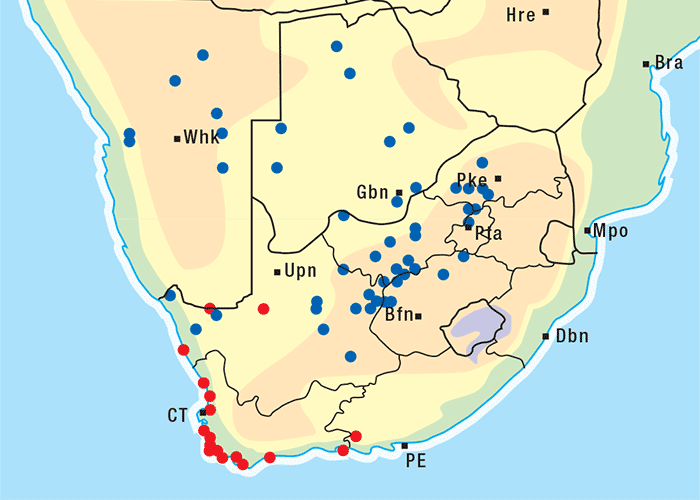 Central Nervous System