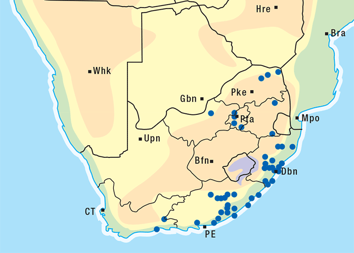 Central Nervous System
