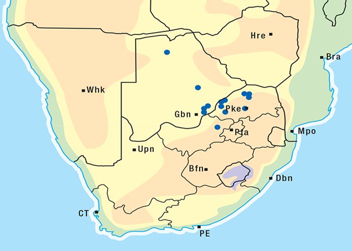 Cardiovascular system