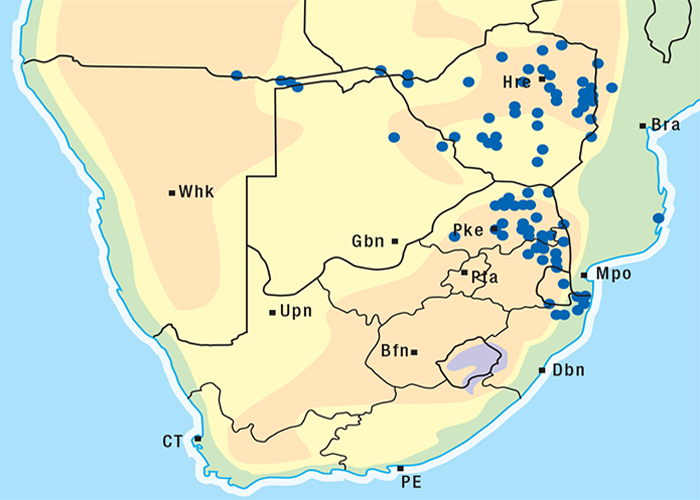 Cardiovascular system