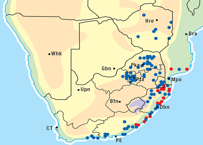 Cardiovascular system