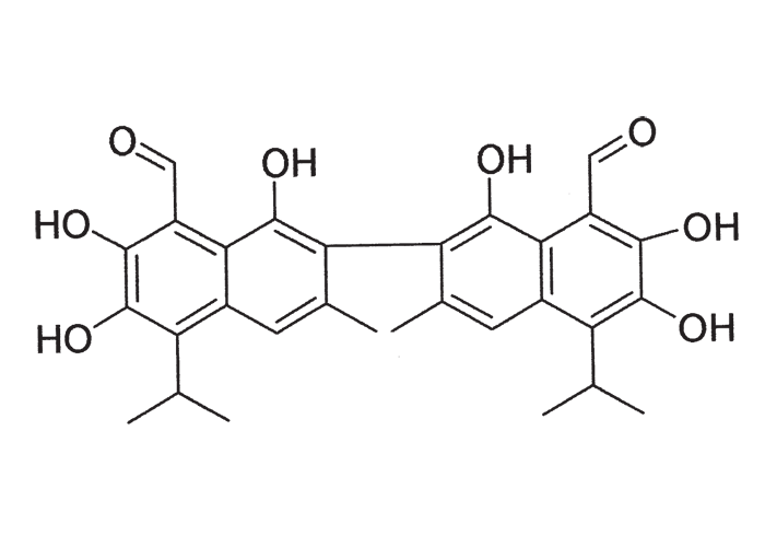 Cardiovascular system