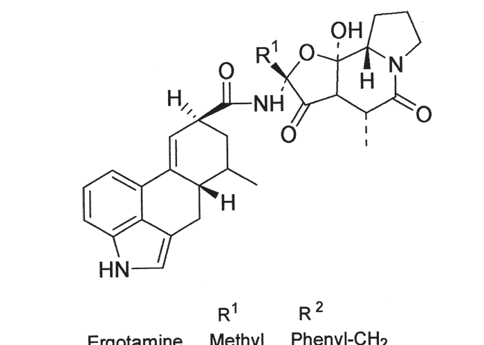 Cardiovascular system