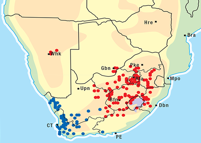Cardiovascular system
