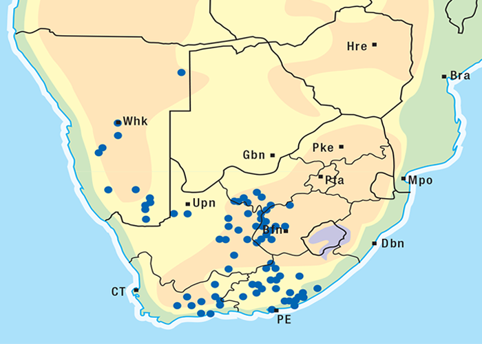 Cardiovascular system
