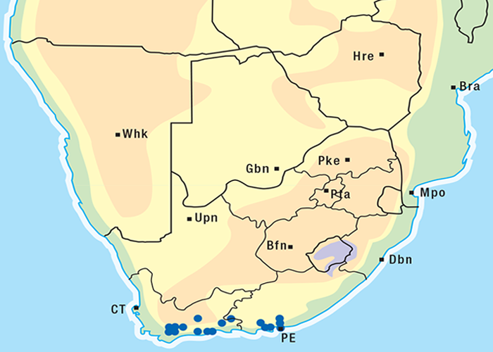 Cardiovascular system