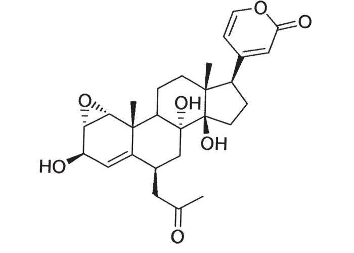 Cardiovascular system