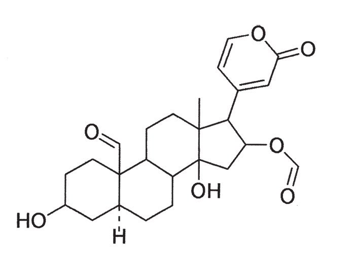 Cardiovascular system