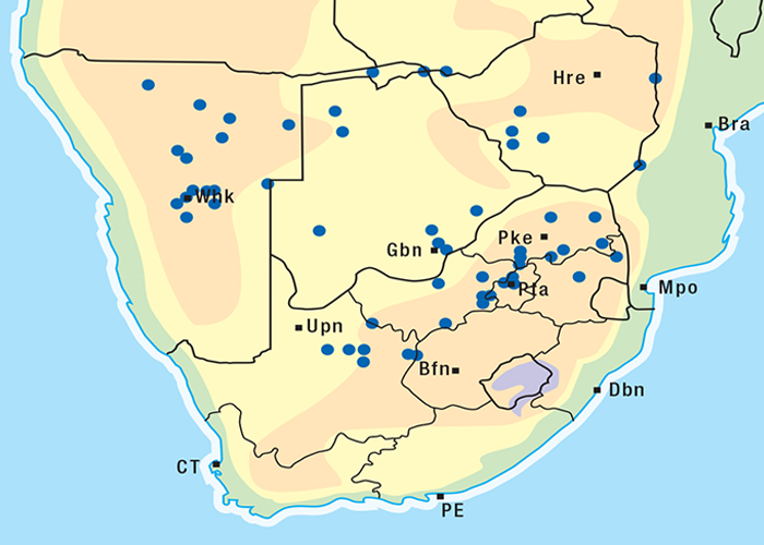 Cardiovascular system