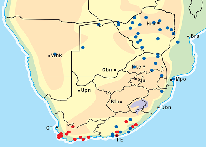 Cardiovascular system