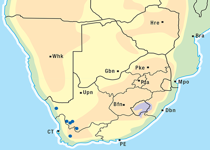 Cardiovascular system