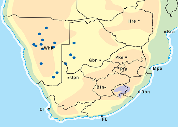 Cardiovascular system