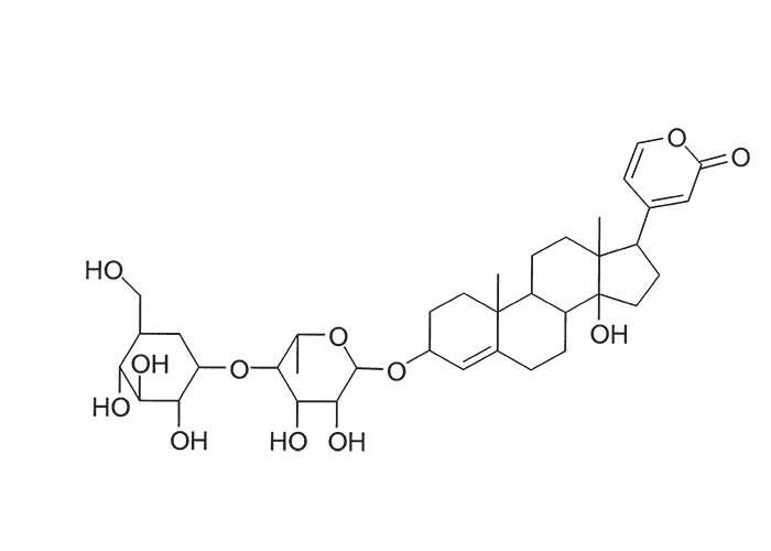 Cardiovascular system