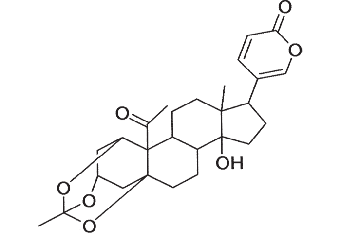 Cardiovascular system