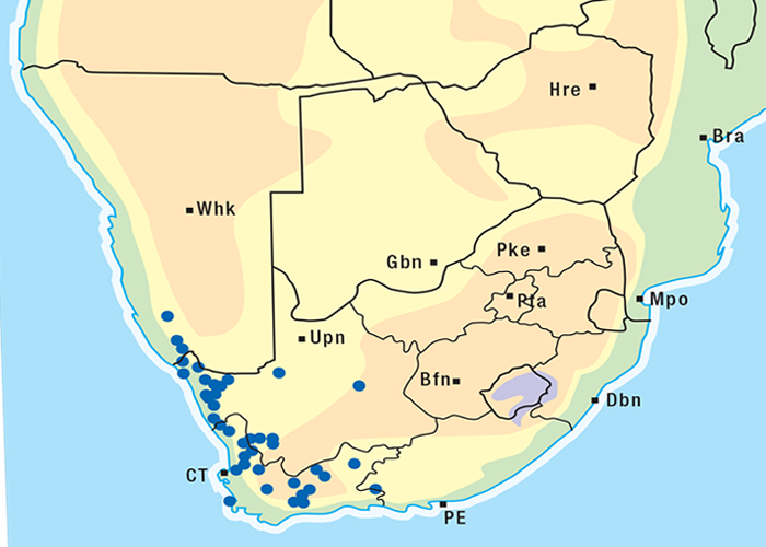 Cardiovascular system