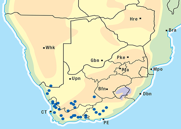 Cardiovascular system