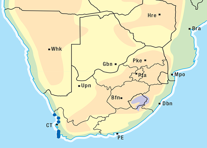 Cardiovascular system