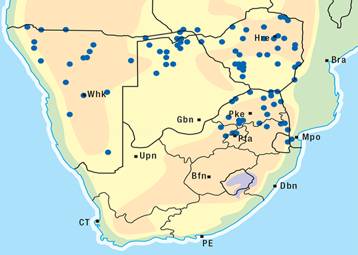 Cardiovascular system