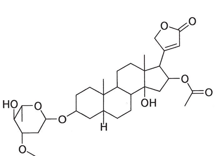 Cardiovascular system
