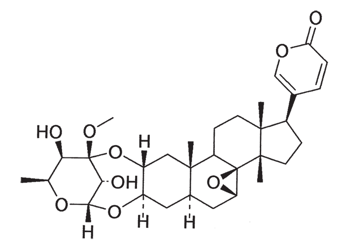 Cardiovascular system