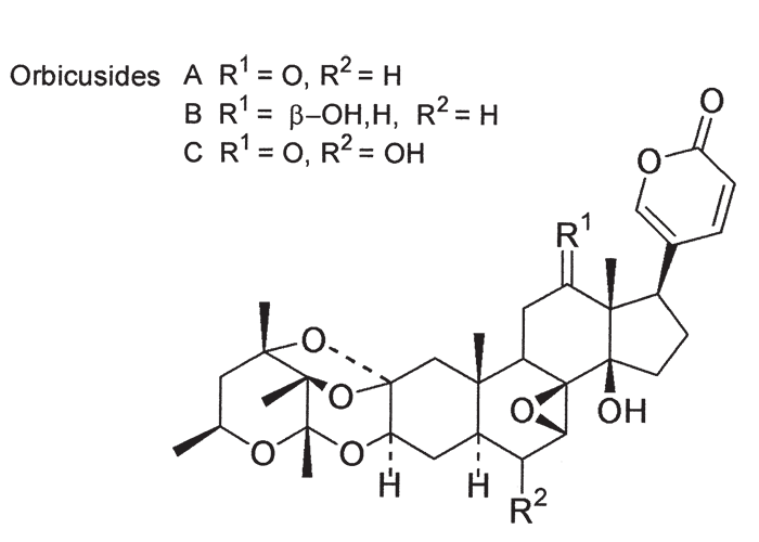 Cardiovascular system