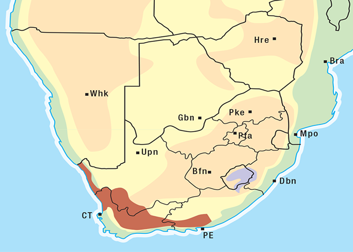 Cardiovascular system