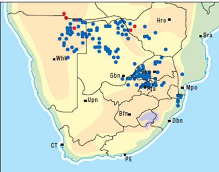 Cardiovascular system