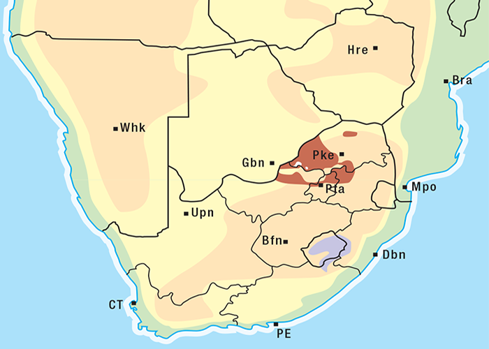 Cardiovascular system