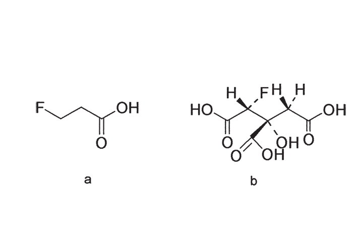 Cardiovascular system