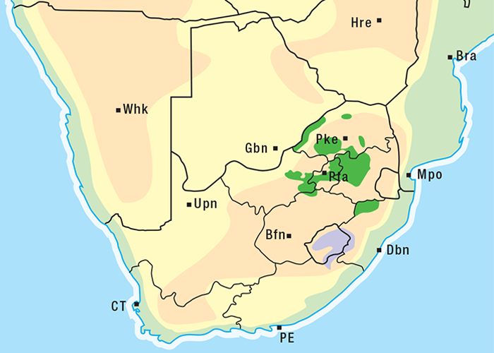 Cardiovascular system