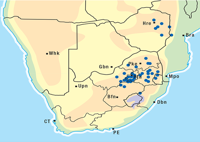 Cardiovascular system