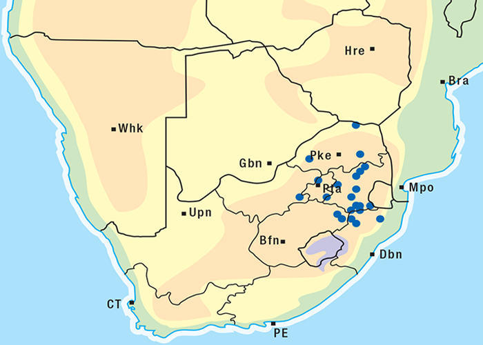 Cardiovascular system