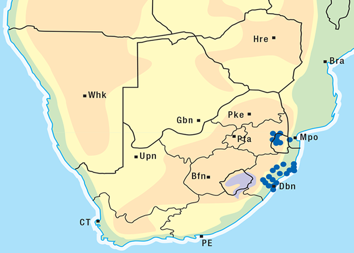 Cardiovascular system